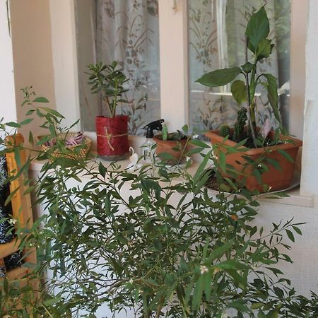 Marina Chartolani'S Guest House Mestia Luaran gambar