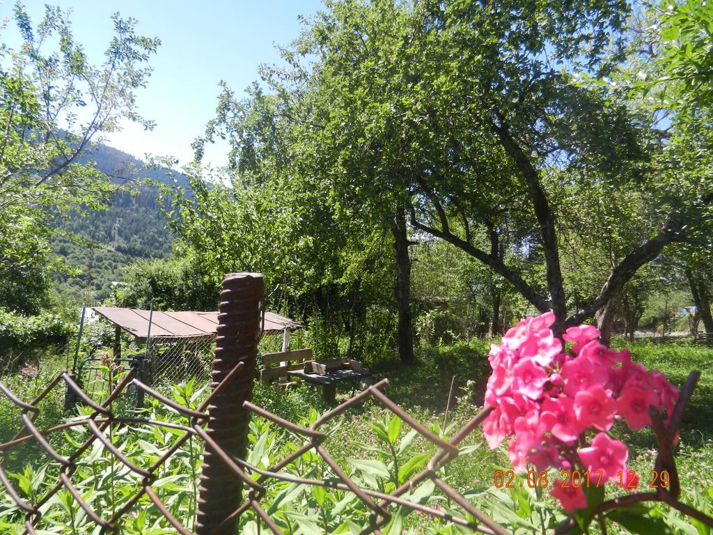 Marina Chartolani'S Guest House Mestia Luaran gambar